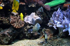 Killikus&reg; Fotographie